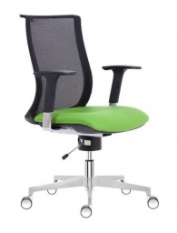Ergonomická zdravotní židle X - WING FLEX  BK Peška - SLEVA nebo DÁREK a DOPRAVA ZDARMA