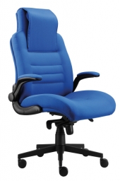 Kancelářská zátěžová židle (křeslo) Dispos 