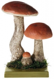 Křemenáč krvavý (Leccinum aurantiacum)