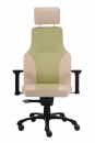 Kancelářské křeslo (židle) Ergo 
