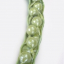 Květ řepky olejnaté (Brassica napus ssp. oleifera)