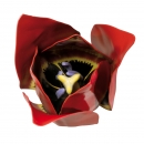 Květ tulipánu, zvětšení 3x (Tulipa gesneriana)