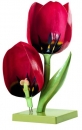 Květ tulipánu, zvětšení 4x (Tulipa gesneriana)