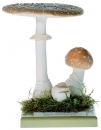 Muchomůrka královská (Amanita regalis)