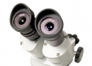 Stereoskopický mikroskop Levenhuk 3ST - SLEVA nebo DÁREK a DOPRAVA ZDARMA