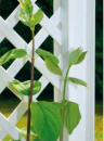 Truhlík na rostliny velký se špalírem - 100 cm, bílý
